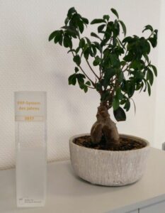ERP-System des Jahres 2017 Award